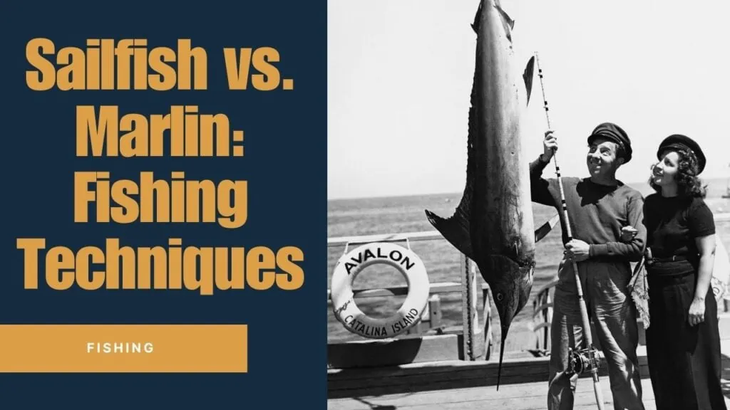 Fishing Techniques and Tips Marlin vs Sailfish